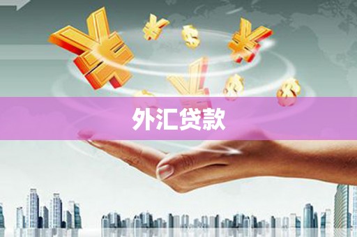 恒山外汇贷款