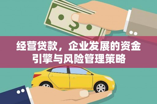 岳塘经营贷款，企业发展的资金引擎与风险管理策略