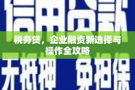 温宿税务贷，企业融资新选择与操作全攻略