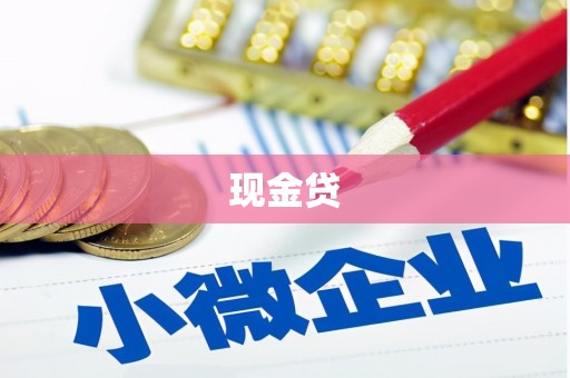 丰县现金贷