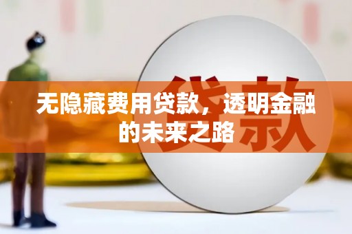 耀州无隐藏费用贷款，透明金融的未来之路