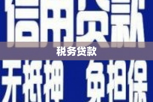 新园税务贷款