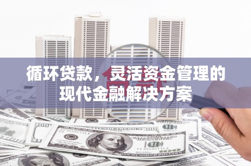 岳塘循环贷款，灵活资金管理的现代金融解决方案