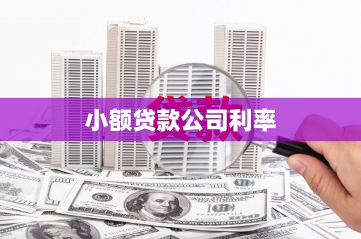 洪雅小额贷款公司利率