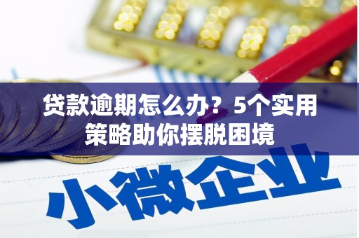 海东贷款逾期怎么办？5个实用策略助你摆脱困境