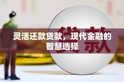 双河灵活还款贷款，现代金融的智慧选择