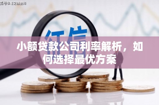 盈江小额贷款公司利率解析，如何选择最优方案