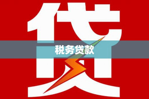 冬山税务贷款