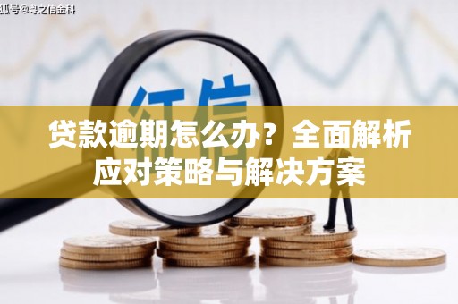 鼓山贷款逾期怎么办？全面解析应对策略与解决方案
