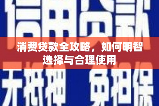 岱岳消费贷款全攻略，如何明智选择与合理使用