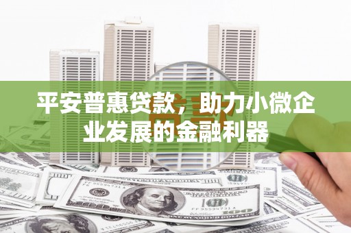 丹徒平安普惠贷款，助力小微企业发展的金融利器