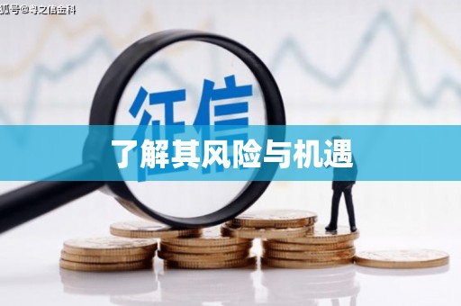 沙田了解其风险与机遇