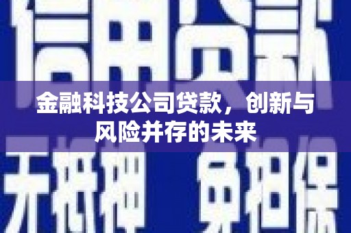广水金融科技公司贷款，创新与风险并存的未来