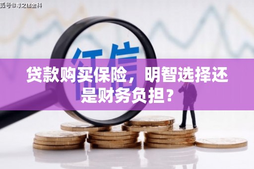 长岛贷款购买保险，明智选择还是财务负担？