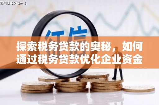 后里探索税务贷款的奥秘，如何通过税务贷款优化企业资金流
