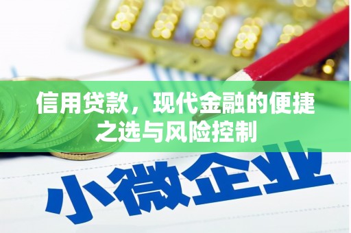 中和信用贷款，现代金融的便捷之选与风险控制