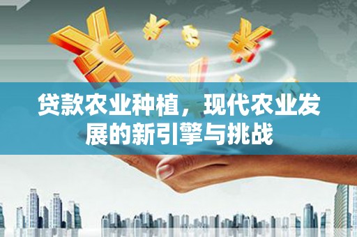 中国香港贷款农业种植，现代农业发展的新引擎与挑战