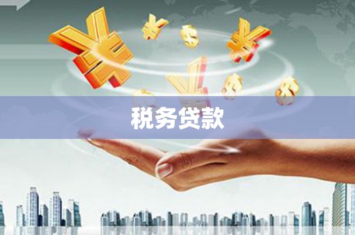 定兴税务贷款