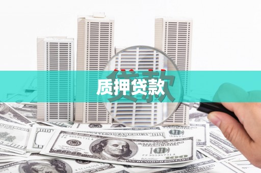 旺苍质押贷款