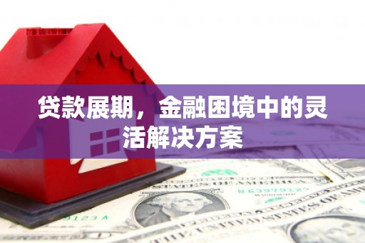 友谊贷款展期，金融困境中的灵活解决方案