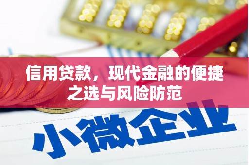 岳塘信用贷款，现代金融的便捷之选与风险防范