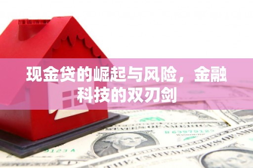 中原现金贷的崛起与风险，金融科技的双刃剑
