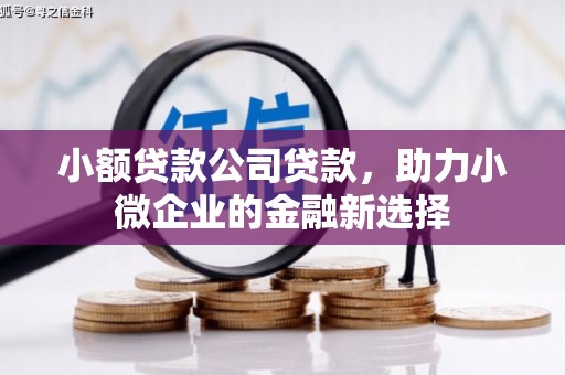 延吉小额贷款公司贷款，助力小微企业的金融新选择