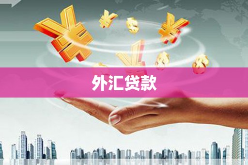 迭部外汇贷款