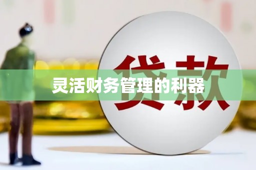 西夏灵活财务管理的利器