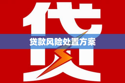 洛川贷款风险处置方案