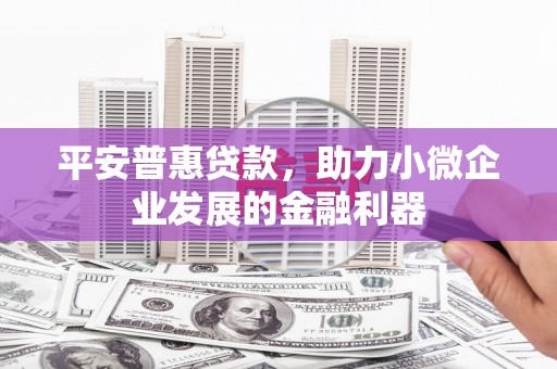 津南平安普惠贷款，助力小微企业发展的金融利器
