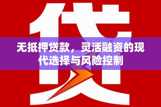 尼玛无抵押贷款，灵活融资的现代选择与风险控制