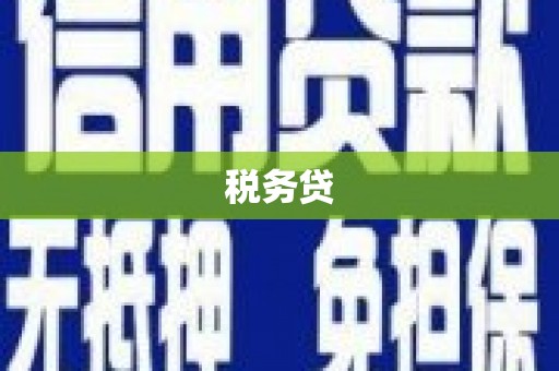 麦寮税务贷