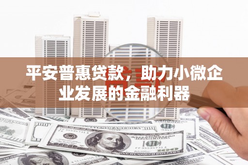 津市平安普惠贷款，助力小微企业发展的金融利器