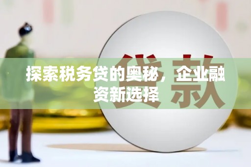 巴林左旗探索税务贷的奥秘，企业融资新选择