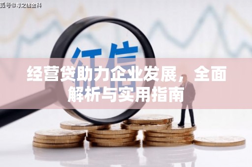 天祝经营贷助力企业发展，全面解析与实用指南