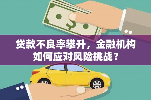 囊谦贷款不良率攀升，金融机构如何应对风险挑战？