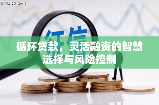 楠西循环贷款，灵活融资的智慧选择与风险控制
