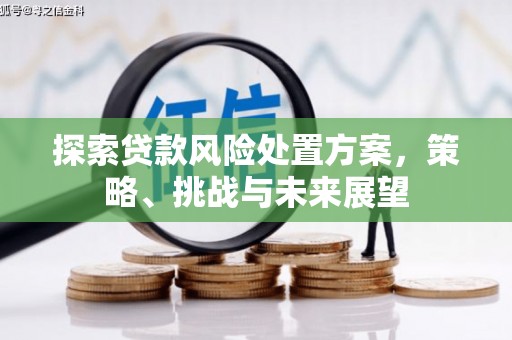 常平探索贷款风险处置方案，策略、挑战与未来展望