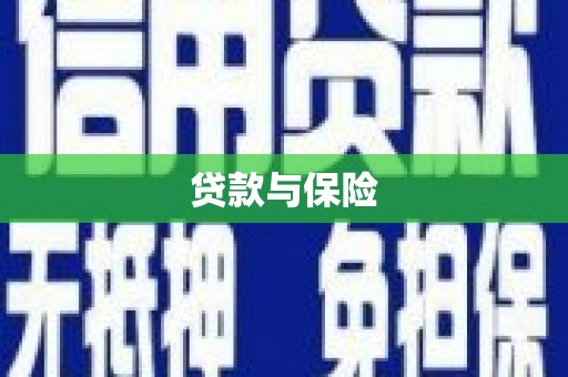 港闸贷款与保险