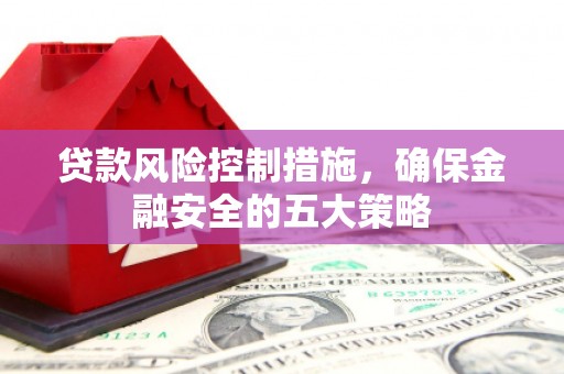 陵城贷款风险控制措施，确保金融安全的五大策略