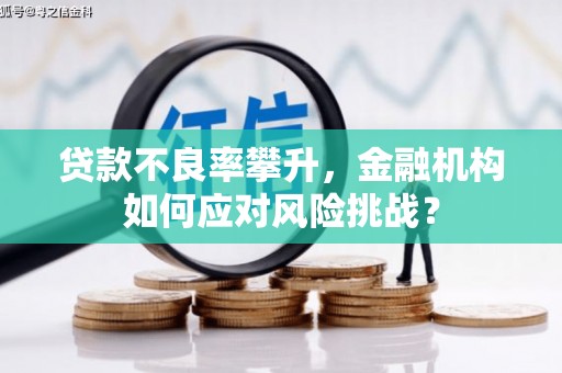 滑县贷款不良率攀升，金融机构如何应对风险挑战？
