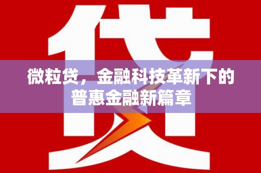 呼玛微粒贷，金融科技革新下的普惠金融新篇章