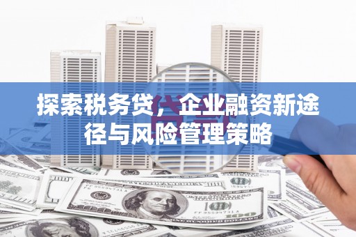 顺城探索税务贷，企业融资新途径与风险管理策略
