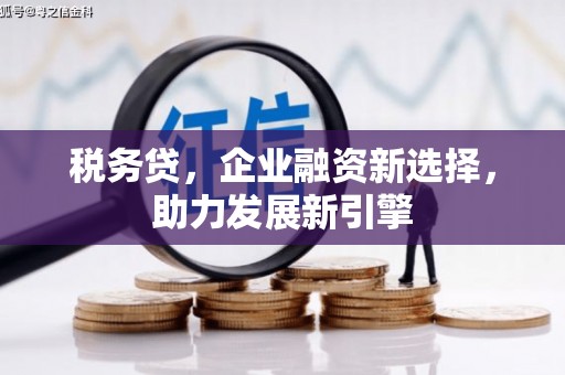 内湖税务贷，企业融资新选择，助力发展新引擎
