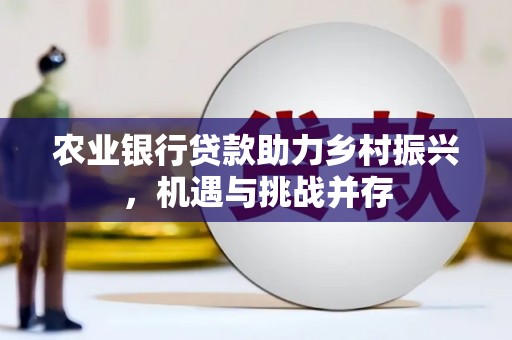 二林农业银行贷款助力乡村振兴，机遇与挑战并存