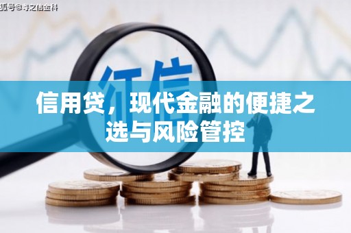 乾安信用贷，现代金融的便捷之选与风险管控