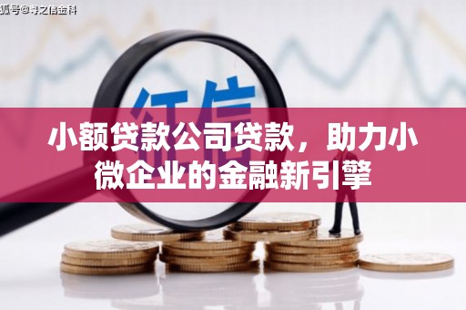 霍城小额贷款公司贷款，助力小微企业的金融新引擎