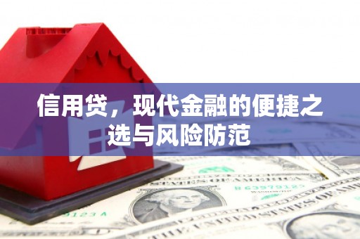 民丰信用贷，现代金融的便捷之选与风险防范