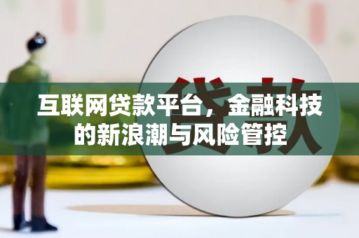 雨城互联网贷款平台，金融科技的新浪潮与风险管控